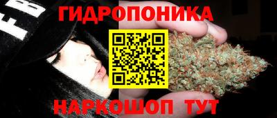 эйфоретик Краснодар