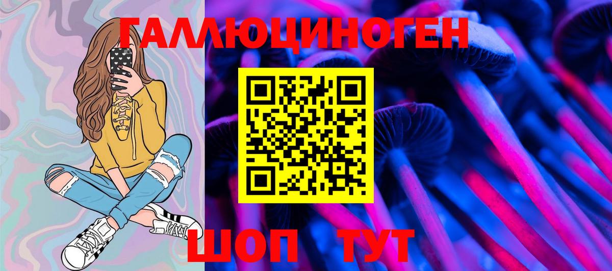 Галлюциногенные грибы Psilocybe Избербаш
